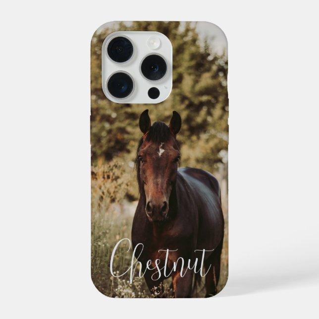 Foto e nome do cavalo (Verso)