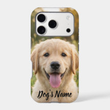 Foto e Nome Personalizados de Retriever Dourado 
