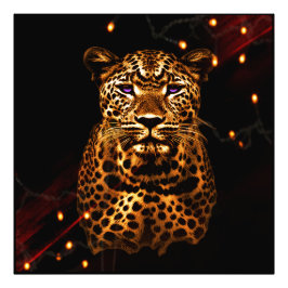 Foto Eclipse Majestade