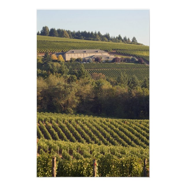 Foto Edifício de bronzeamento da Archery Summit em cima (Frente)