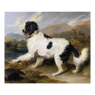 Foto Edwin Henry Landseer   Leão — Um Cachorro Da Te