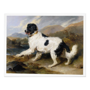 Foto Edwin Henry Landseer Lion A Newfoundland Dog