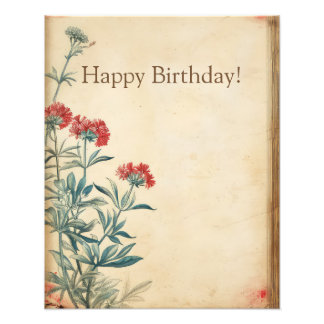 Foto Eficácia da ilustração da flor de Yseta