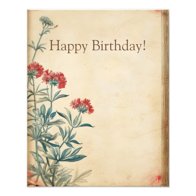 Foto Eficácia da ilustração da flor de Yseta (Frente)