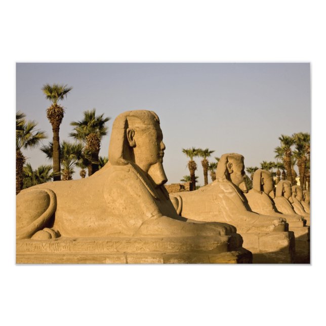 Foto Egito, Luxor. A Avenida das Esfinges leva a (Frente)
