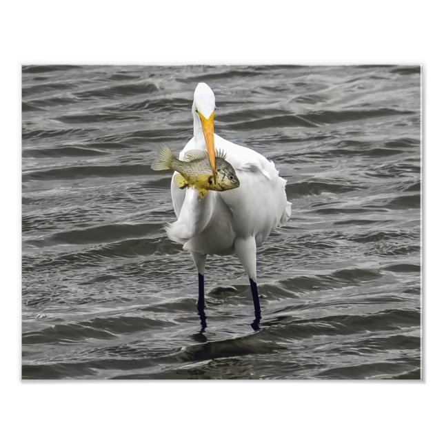 Foto Egret com Almoço (Frente)