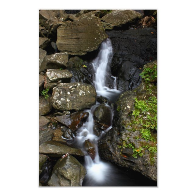 Foto El Yunque Porto Rico (Frente)
