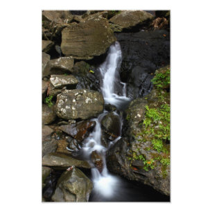Foto EL Yunque Puerto Rico