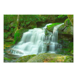 Foto Elakala Falls #2, Virgínia Ocidental