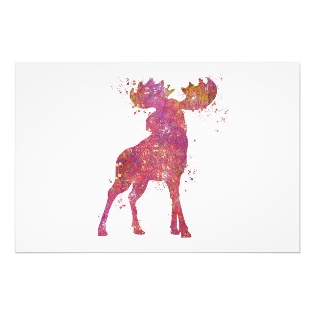 Foto Elan Animal Forêt Faune Sauvage Nature Monde Terre (Frente)