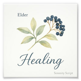 Foto Elder — Healing