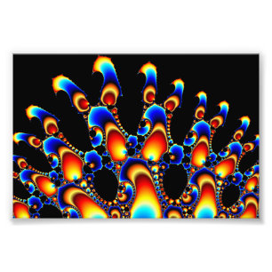 Foto Ele - Fractal de Mandelbrot