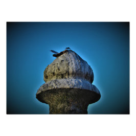 Foto "Ele vive por Sunset"