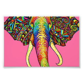 Foto Elefante