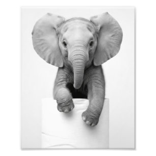Foto Elefante Bebê Minimalista Espiando por Cima do Pap