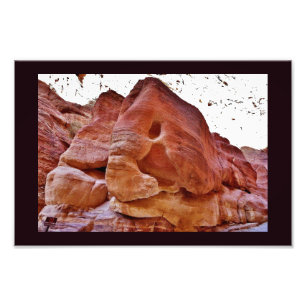 Foto Elefante em Petra