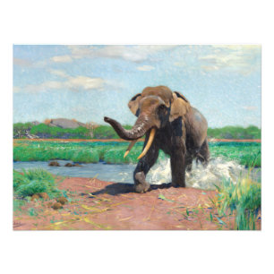 Foto Elefante indiano em uma Waterhole por Wilhelm Kuhn