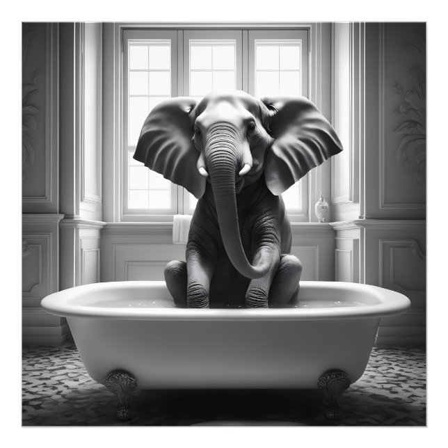 Foto Elefante no banho (Frente)