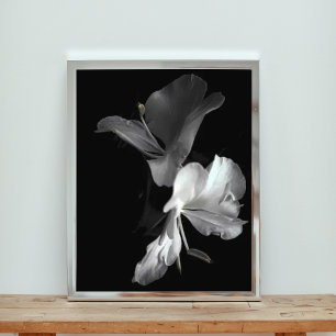Foto Elegância em preto-e-branco: Flor de Fechamento