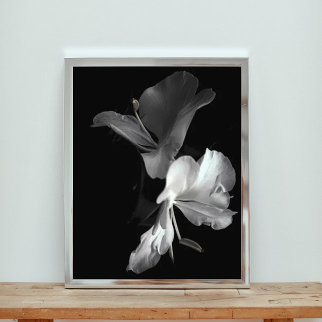 Foto Elegância em preto-e-branco: Flor de Fechamento (Criador carregado)