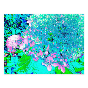 Foto Elegante Hortênsia Limelight Rosa e Azul