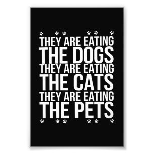 Foto Eles Estão Comendo Os Cachorros Os Gatos Os Animai