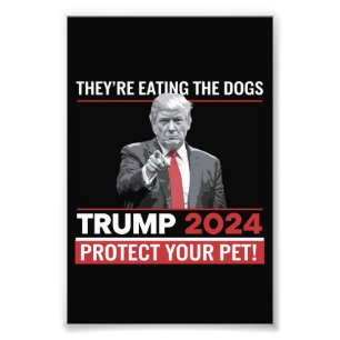 Foto Eles Estão Comendo Os Cães Debate Trump 2024 