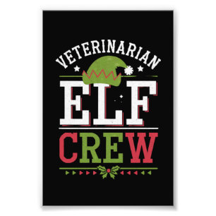 Foto Elfo de Natal Veterinário Técnico Veterinário