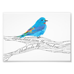 Foto Em algum lugar sobre o impressão do Bluebird do