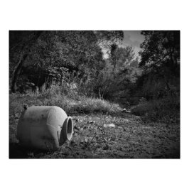 Foto "Em Terras Rejeitadas"