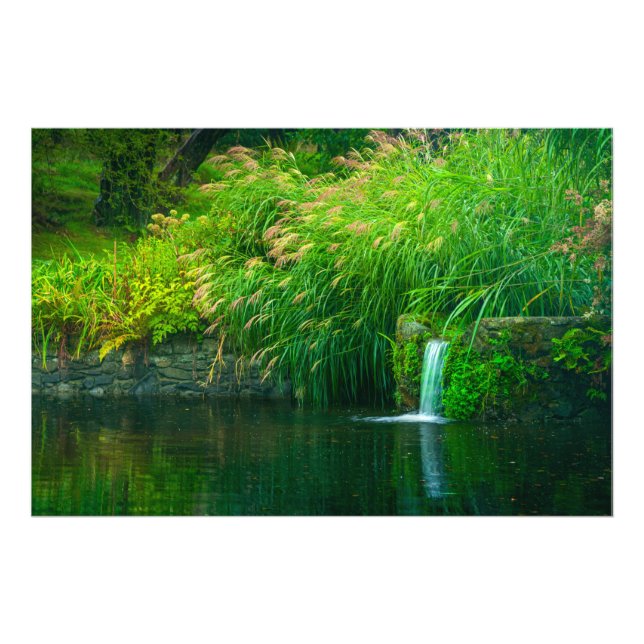 Foto Emerald Stillness by the Garden Falls (Frente)