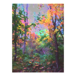 Foto Encantado Forrest