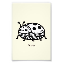 Foto Encantadora Ilustração do Besouro Desenhado à Mão