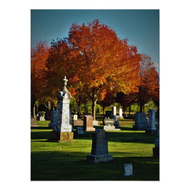 Foto "Energia brilha" (Frente)