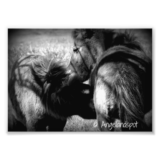 Foto Enfermagem (Frente)