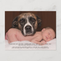 Foto Engraçada de Cachorro Bebê Anúncio de Nascime