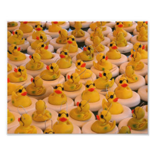 Foto Engraçado Patos de borracha amarela 10x8 Impressão
