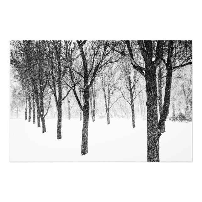 Foto Enquanto eu lado com árvores (Frente)