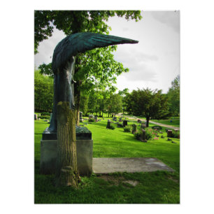 Foto "Enrolado em Angusto"