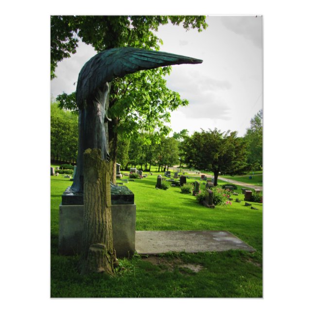 Foto "Enrolado em Angusto" (Frente)