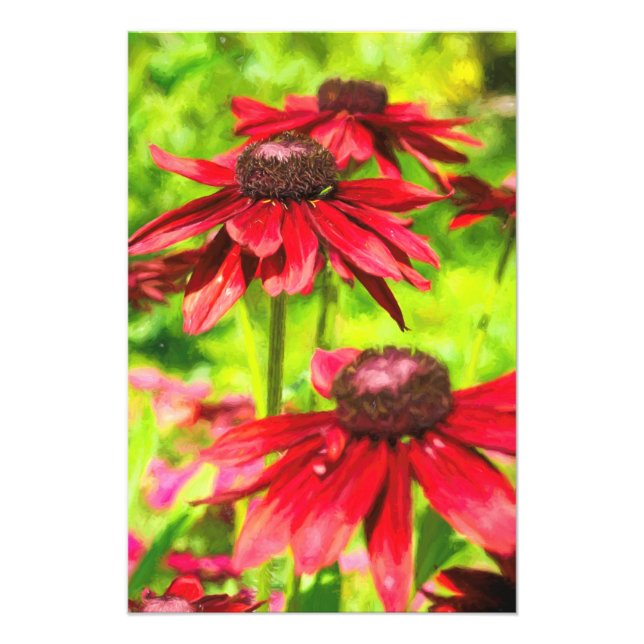 Foto Entre As Flores (Frente)