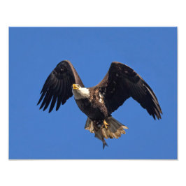 Foto Entrega das mercadorias