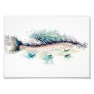 Foto Entusiastas da pesca da arte aquática cinzenta do 