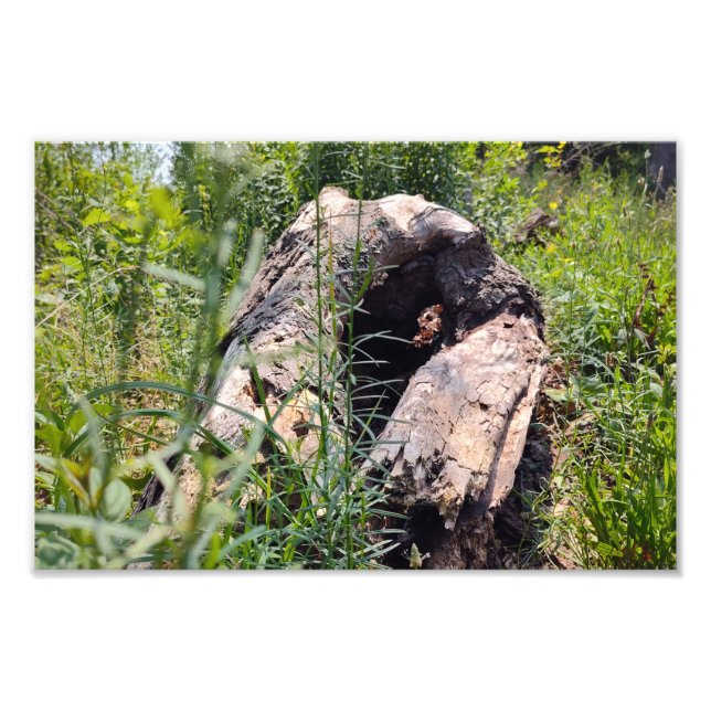 Foto Erosão (Frente)