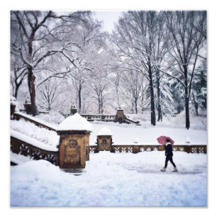 Foto Escadas cobertos de neve no Central Park