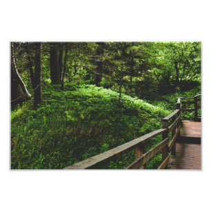Foto Escadas no campo verde
