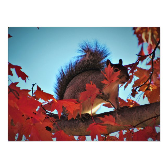 Foto "Escondendo-se na Visão Simples" (Frente)