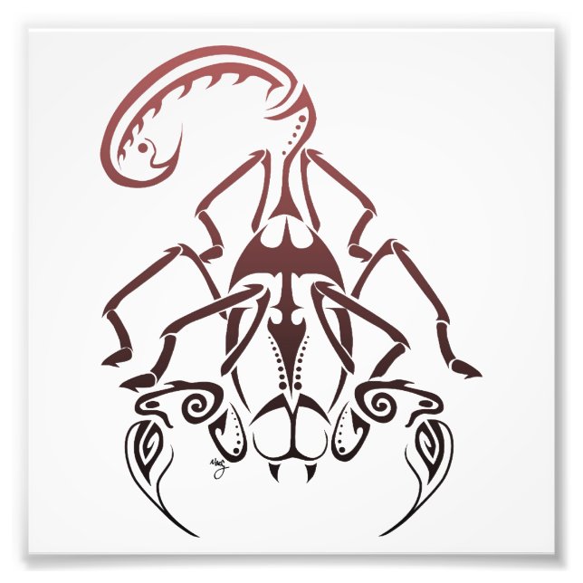 Foto Escorpião Impressão (Frente)