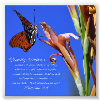 Foto Escritura da Borboleta e Flor Filipas 4:8