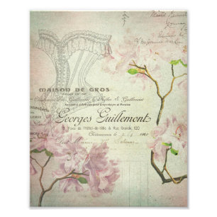 Foto Espartilho gasto das flores do roteiro francês